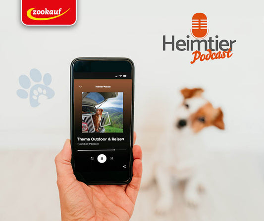 takefive-media GmbH - B2C Audio Podcast