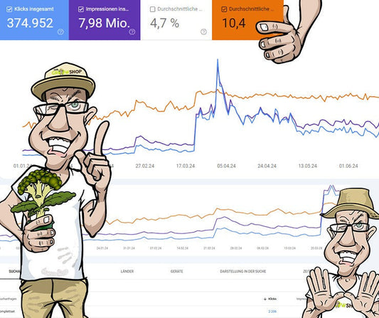 imc marketing & consult gmbh - B2B SEO Project