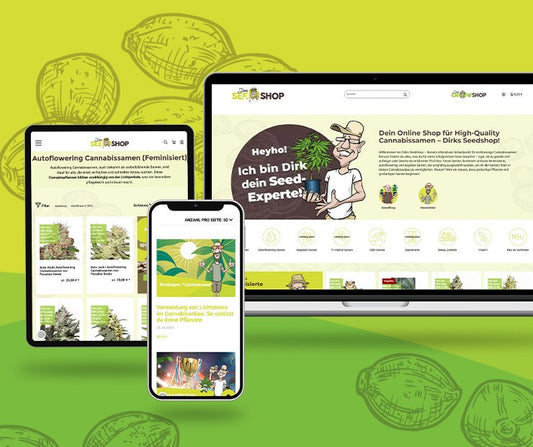 imc marketing & consult gmbh