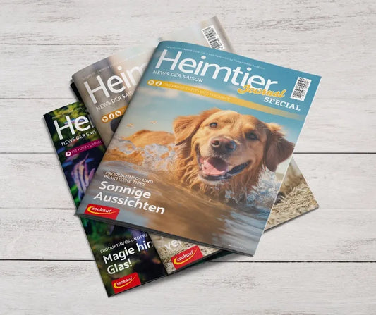 takefive-media GmbH - Magazine - Winner 2025